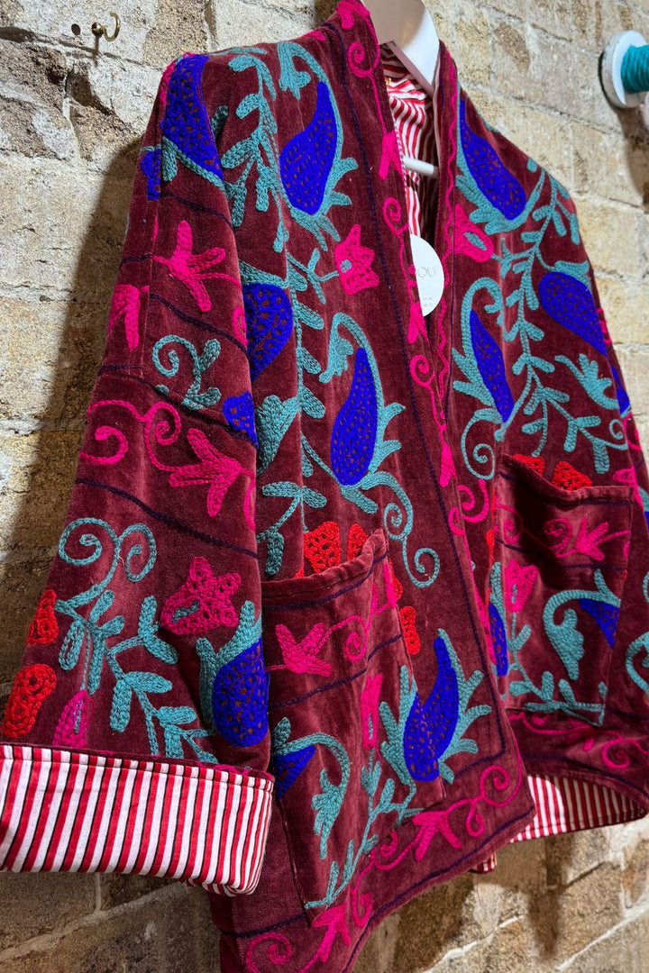 Mon Milou | Embroidered Velvet Jacket | Aditi