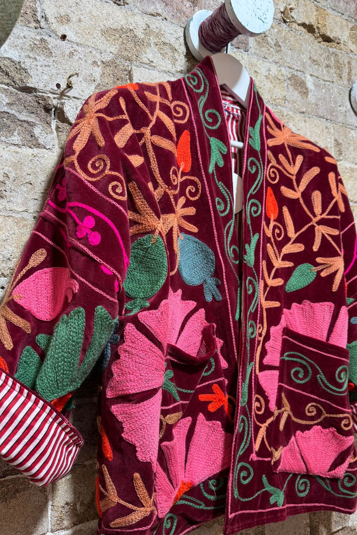 Mon Milou | Embroidered Velvet Jacket | Diya