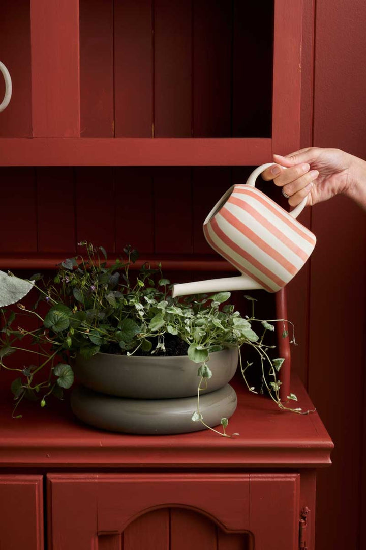 Robert Gordon | Watering Can | Coral Plant Parent