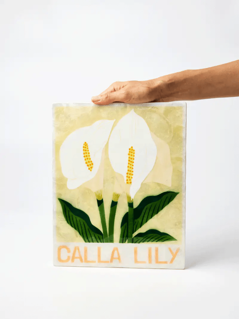 Jones and co I calla Lily