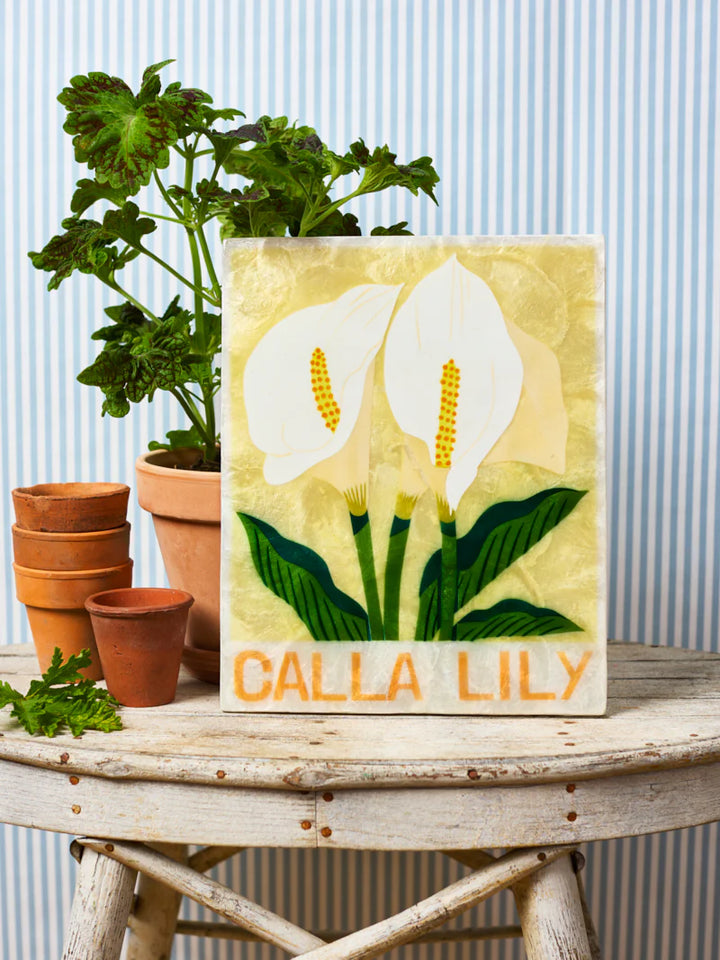 Jones and co I calla Lily