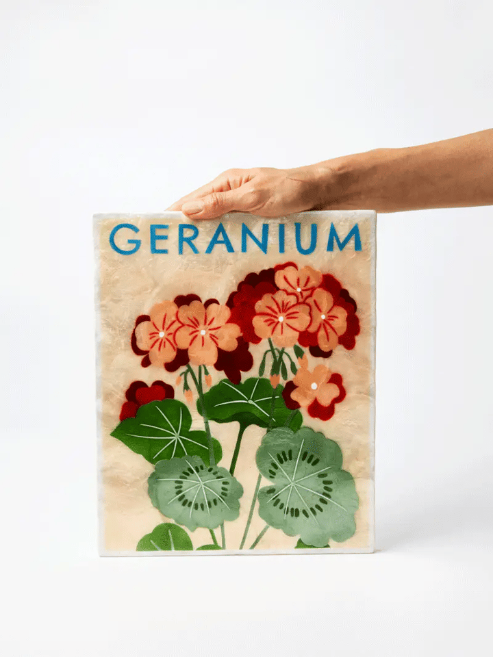 Jones and co I Geranium