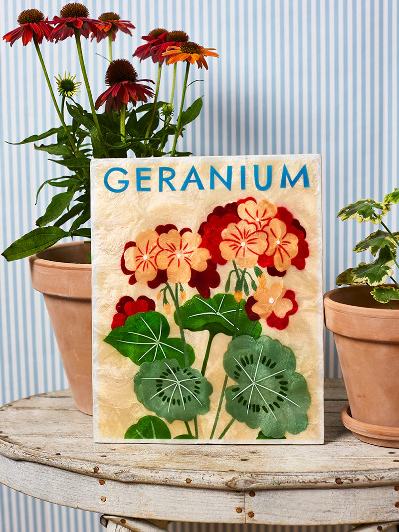 Jones and co I Geranium