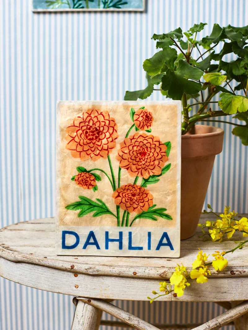 Jones and co I Dahlia