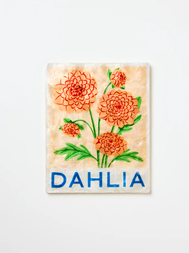 Jones and co I Dahlia