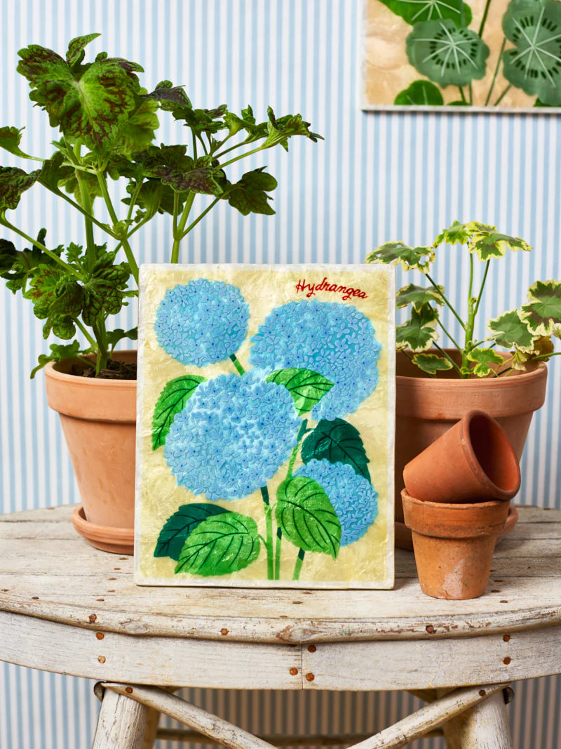 Jones and co I Hydrangea