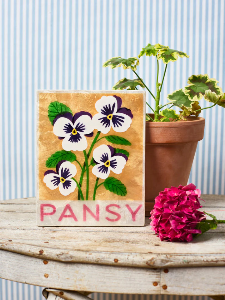 Jones and co I Pansy