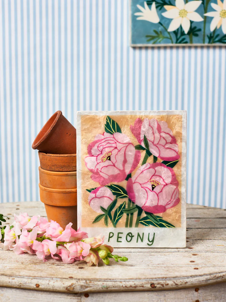 Jones and co I Peony